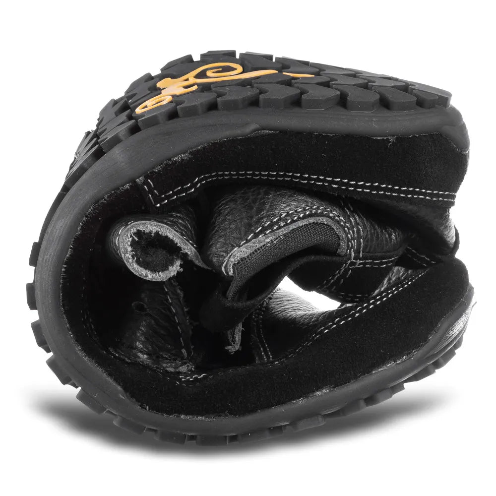 Magical Alaskan X Light