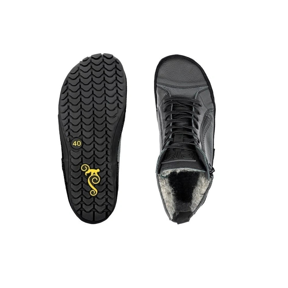 Magical Alaskan X Winter