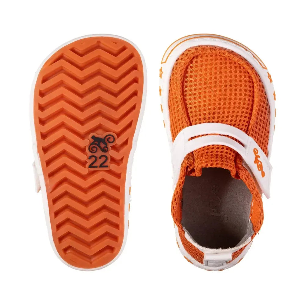 Magical Alex - Orange