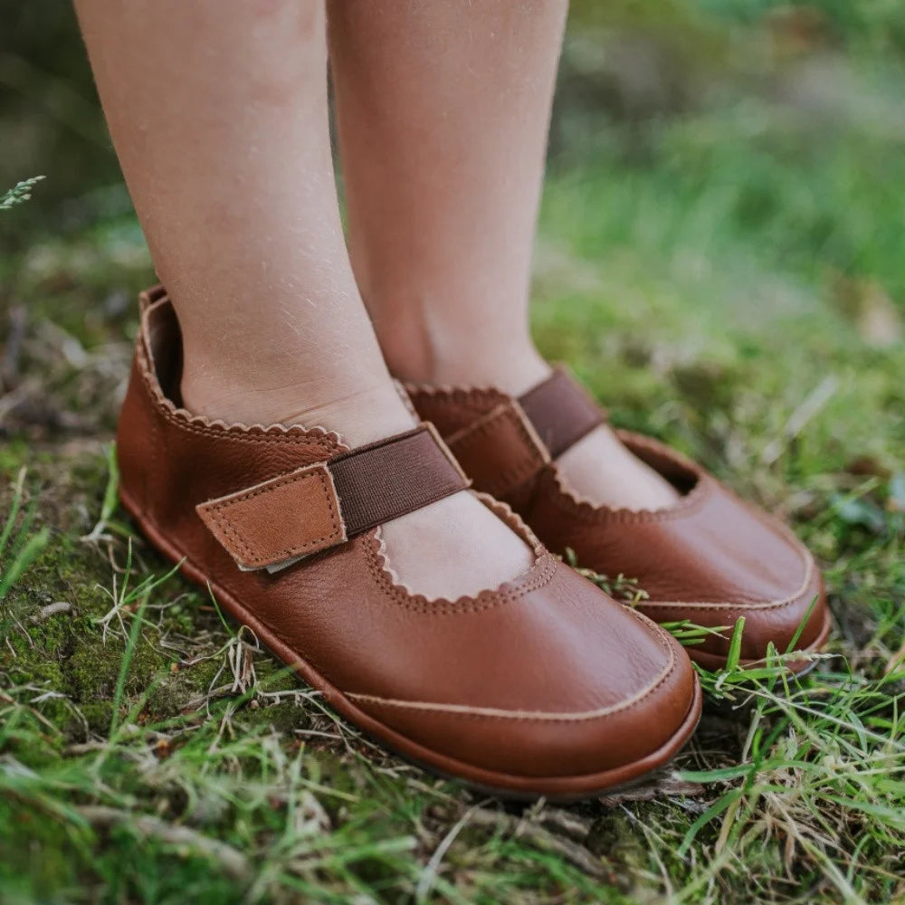 Magical  Gloria - Chocolate