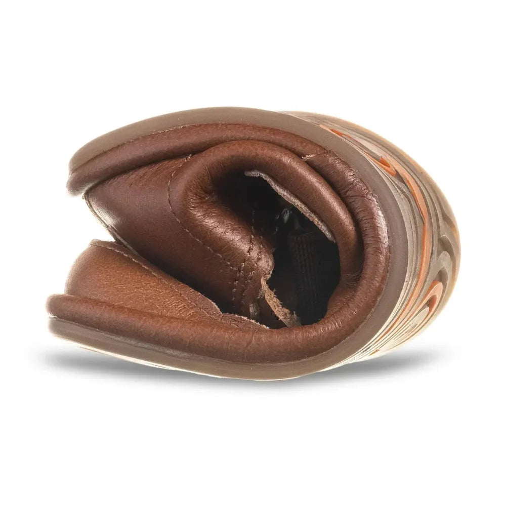 Magical  Gloria - Chocolate