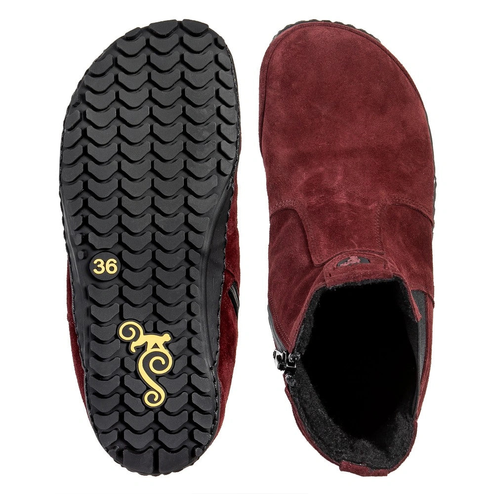 Magical Lupino - Burgundy